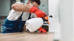 Professional Pest Control in Lakewood, CO